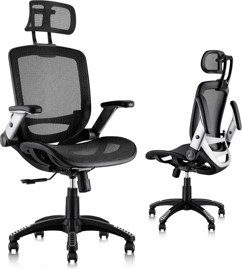 GABRYLLY Ergonomic Office Chair, High Back Home Desk Chair with Headrest